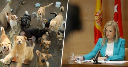 Una gran iniciativa de ley de castigar a los seres humanos malvados que maltratan a los perros