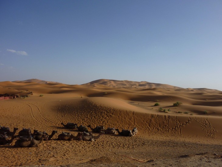 Desierto del Sahara 