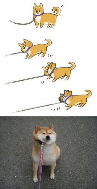 ilustración de un perro shiba ahorcándose con una cadena para perro 