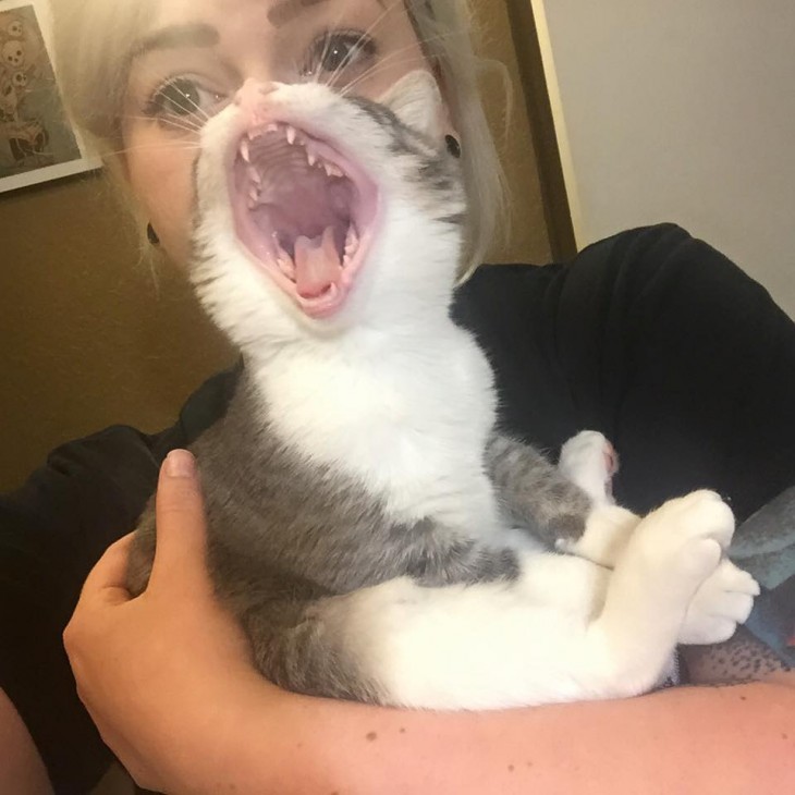 una mujer con un gato frente a ella que parece tener hocico de gato 