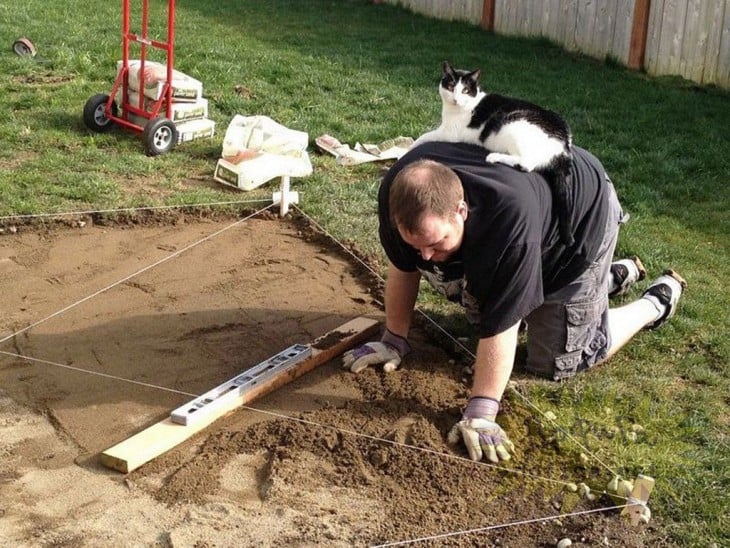 hombre haciendo cuadro para hortalizas en su casa