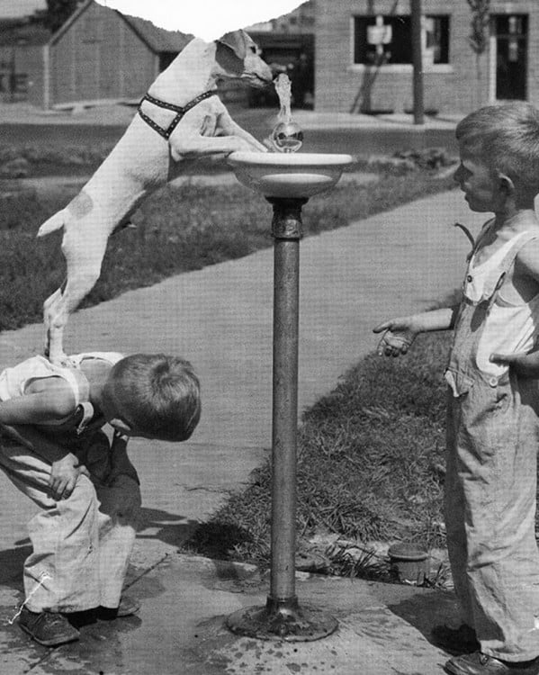 niños jugando a darle de tomar agua a ssu perrito