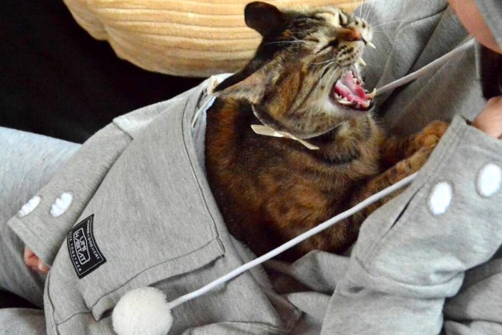 SUDADERA CANGURO CON UN GATO GRIS