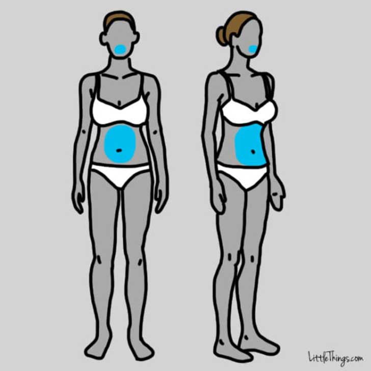 dibujos del cuerpo de dos mujeres resaltando su paladar y su estomago 