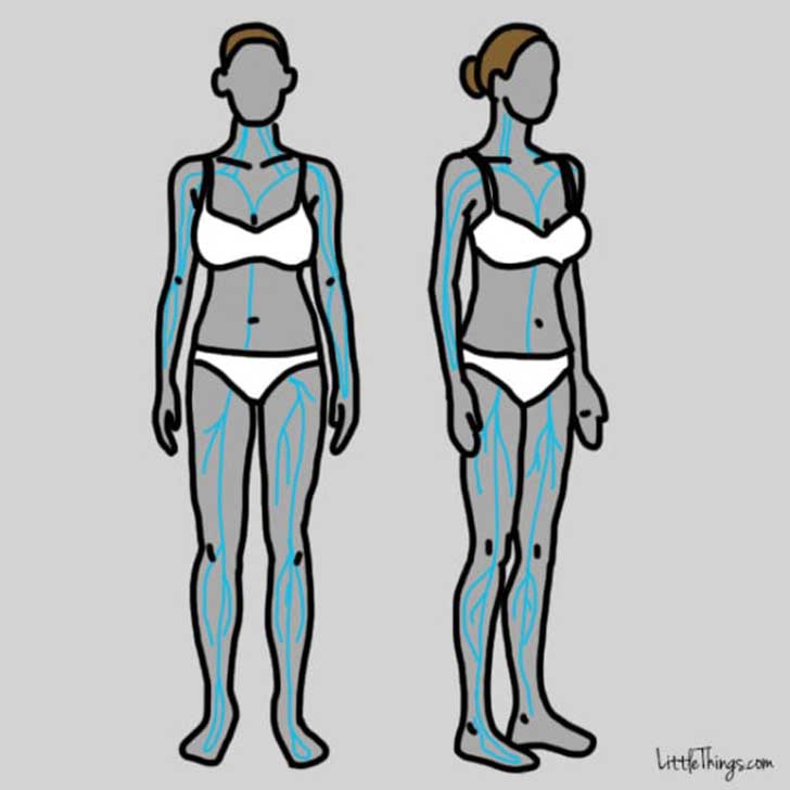 cuerpos de dos mujeres en dibujos que muestra la presión sanguínea 