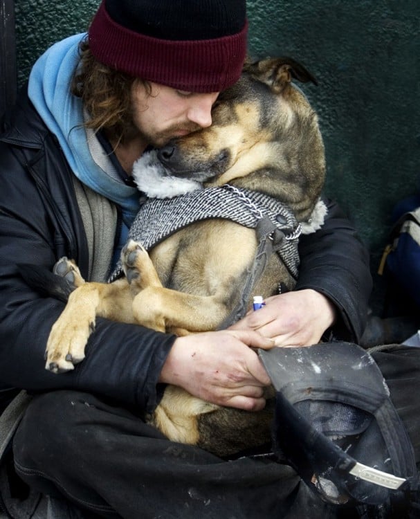 perro y hombre de la calle