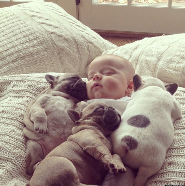 cachorros y bebé dormidos