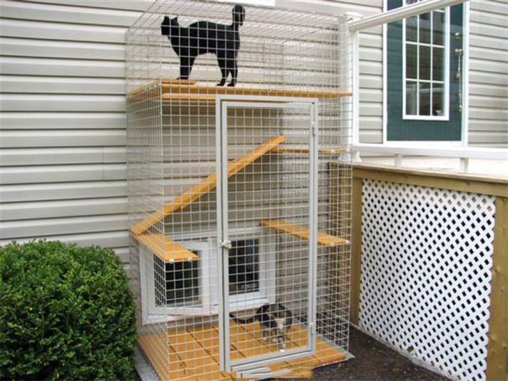 ESTE ES UN CATIO UN LUGAR HECHO PARA QUELO GATOS NO SE ESCAPEN DE SU CASA