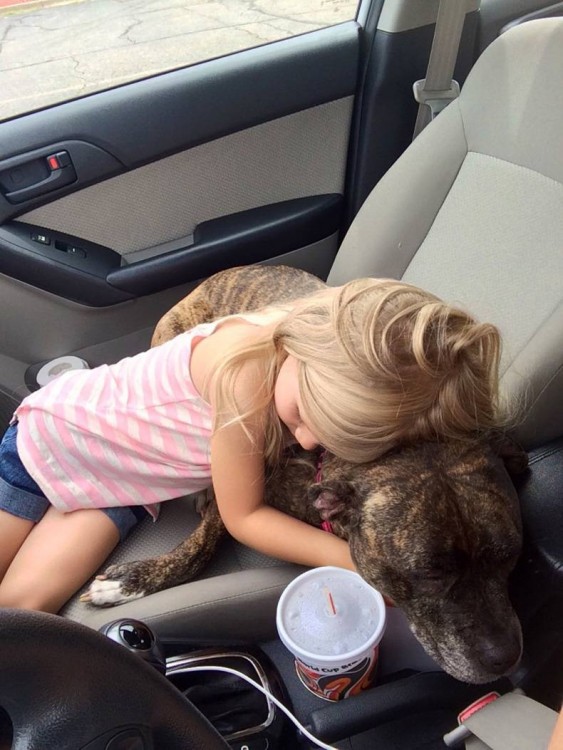 niña abrazando al perro que iba a recibir inyecciones