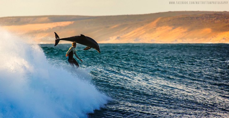 hombre nadando junto a un delfin