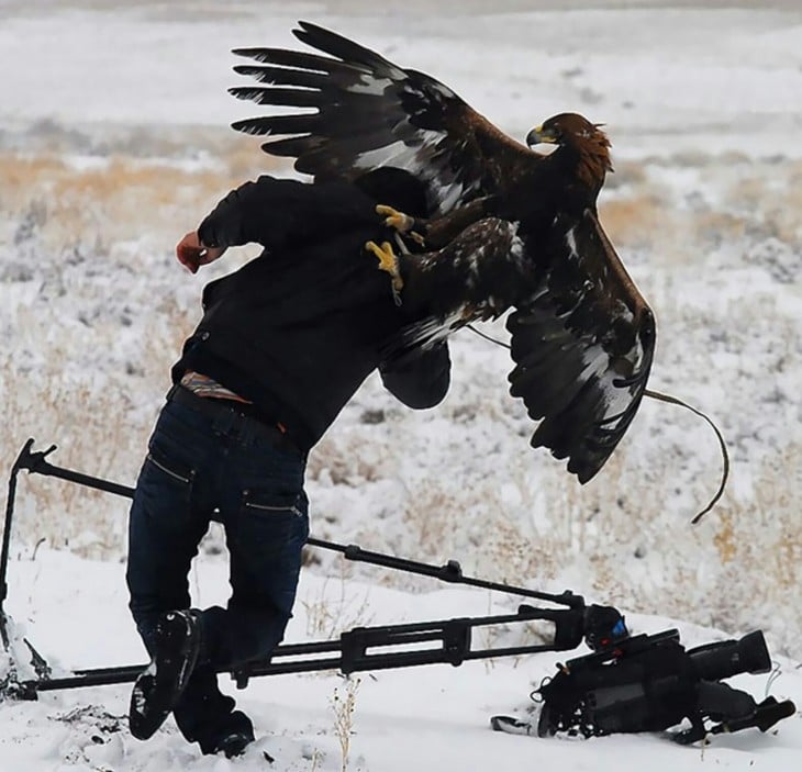 Lo caza un +aguila para llevarlo de rehen