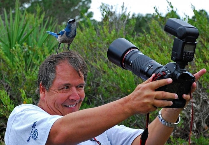 TOMANDOLE LA FOTO A PAJARITO AZUL ARRIBA DE SU CABEZA