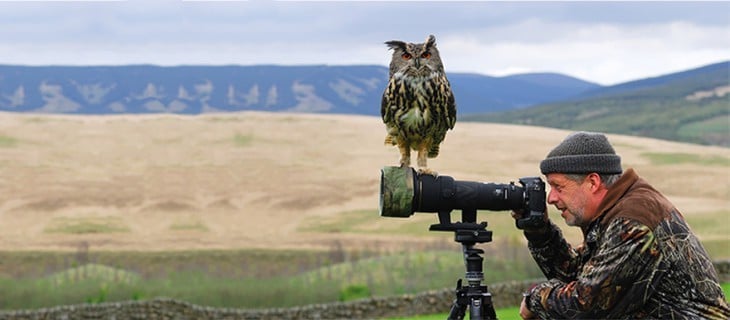 BUHI ARRIBA DE LA LENTE DEL FOTOGRAFO