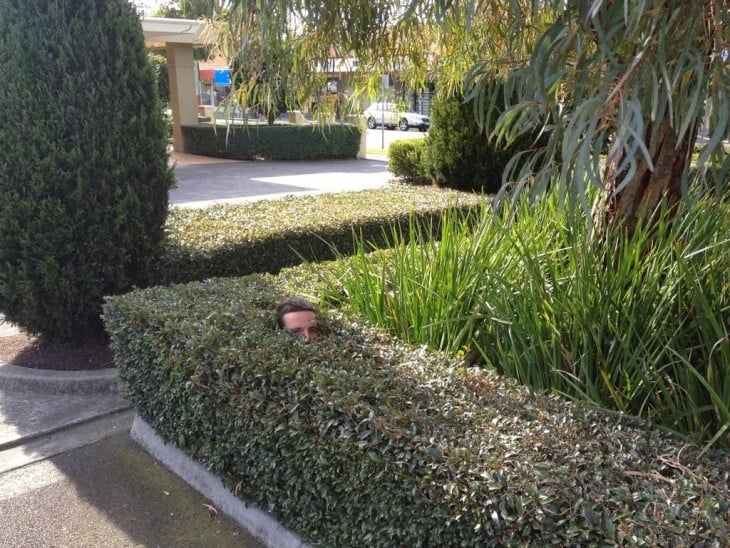 hombre jugando a las escondidas en un árbol cuadrado