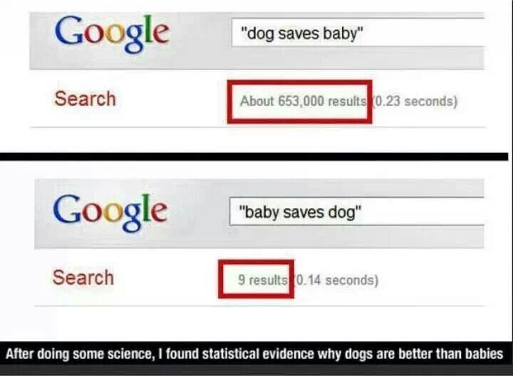bebe salva a perro no sucedera