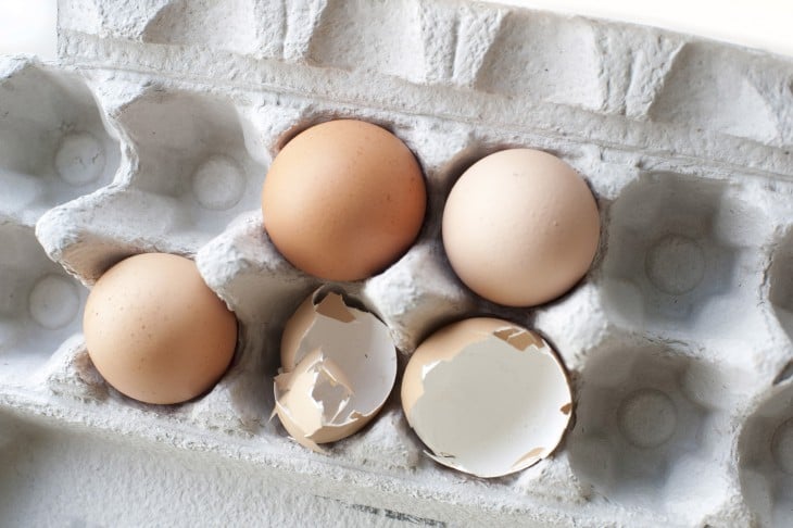 cascaras de huevo vacias en el refrigerador