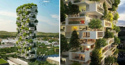 Stefano Boeri es un arquitecto italiano que tiene cierta afinidad por las estructuras ecológicas innovadoras