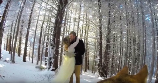 Esta Pareja tuvo una Gran Idea para Imortalizar su Boda ¡Su Perro Filmó Todo con una GoPro!