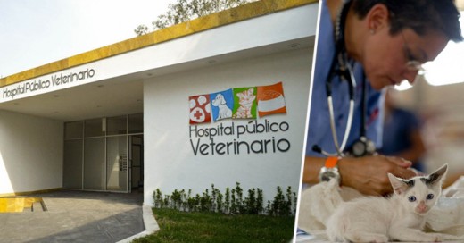 El Primer Hospital Veterinario GRATUITO de México es una Realidad ¡Enhorabuena!