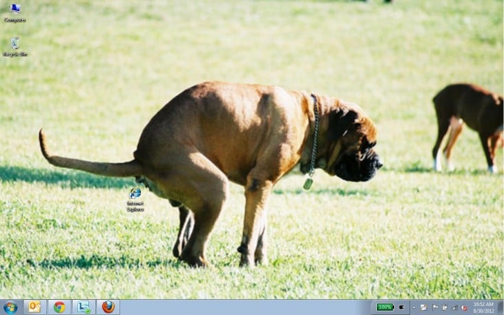 fondo de escritorio donde un perro simula estar defecando el icono de internet explorer 