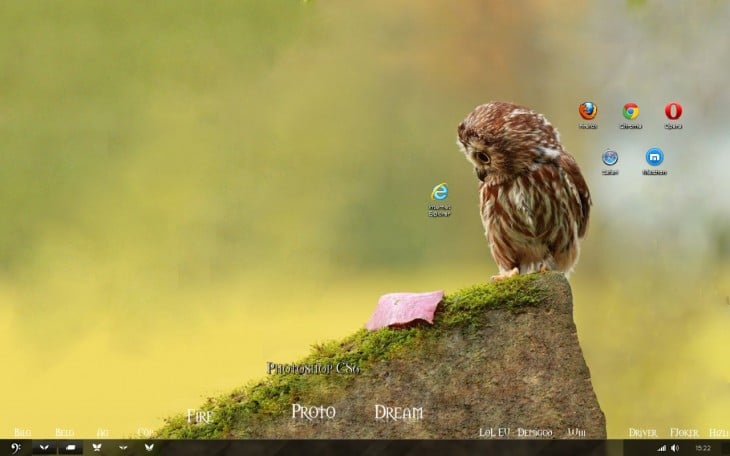 fondo de escritorio de un búho sobre una piedra mirando hacia el icono de internet explorer 