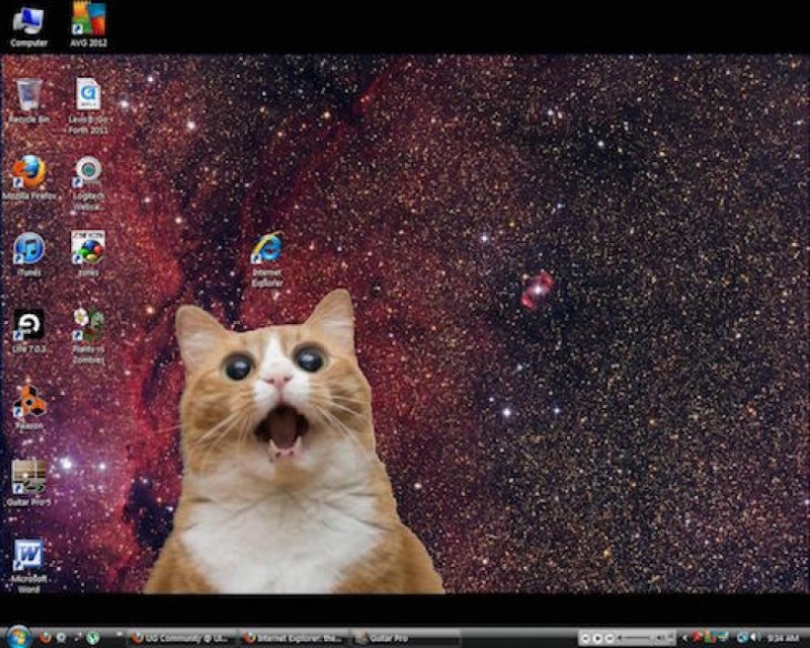 fondo de escritorio donde un gato esta viendo con cara de sorpresa el icono de internet explorer 