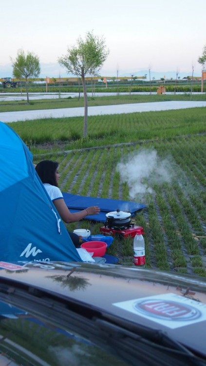 familia cocinando en un jardín en algún lugar del planeta