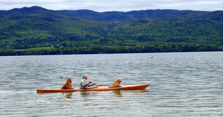 hombre navegando por un lago dentro de un kayak junto a sus dos perros 