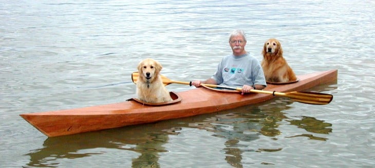 hombre dentro de su kayak con sus mascotas junto con él 