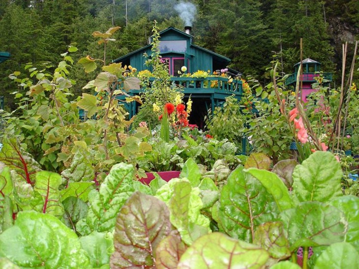 plantas dentro de la isla flotante en Vancouver 