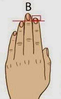 ilustración que muestra que el dedo anular es más corto que el dedo índice