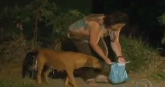 mujer dando de comer en una bolsa a una perra callejera 