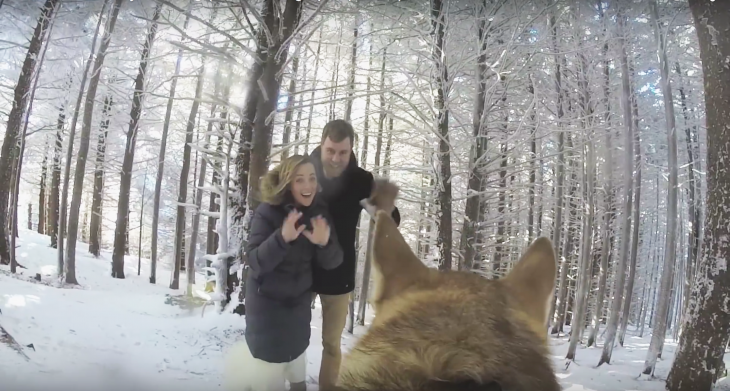 pareja de esposos saludando a una cámara atada a su perro 