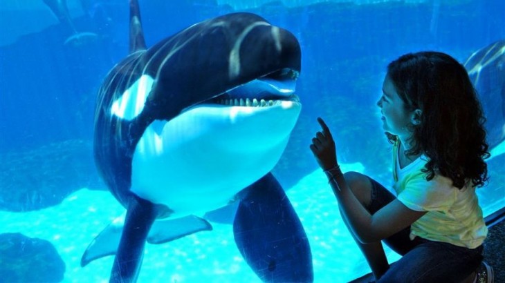 NIÑA CON SU ORCA