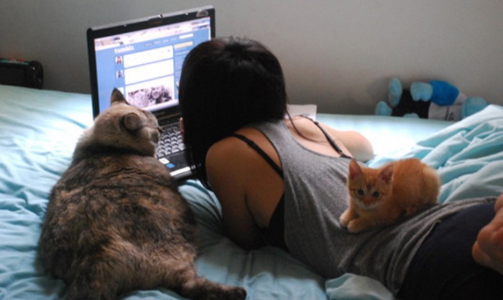 MUJER VIENDO LA LAPTOP CON SUS GATOS