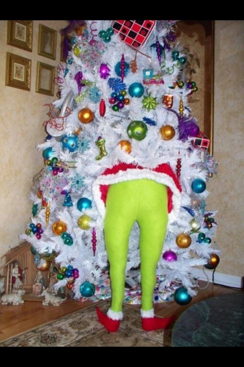 el grinch metido en un árbol de navidad