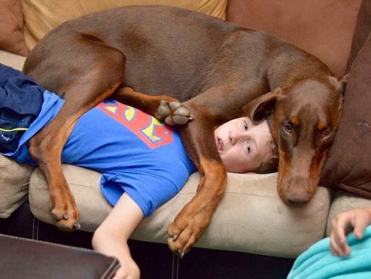 Perro que esta encima de su dueño niño porque se quedo dormido, cuando despertó se encontró con su fiel amigo encima de él