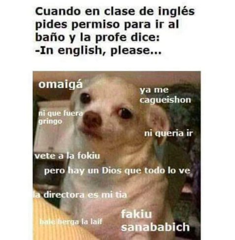 perrito enojado cuando pides salir en la clase de ingles