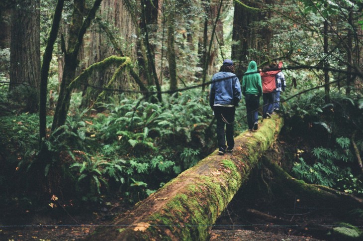 cuatro chicos caminando sobre un puente en la naturaleza 