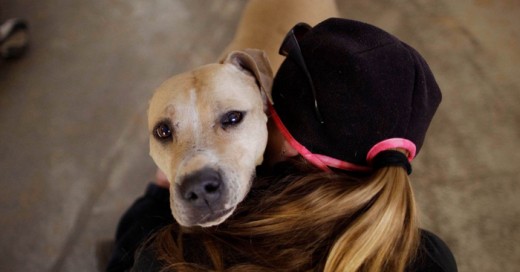 Abrazar un perro es una gran forma de sentirte mejor