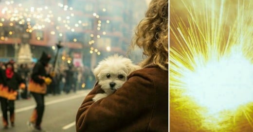 La salvacion para los perros, fuegos artificiales sin sonido