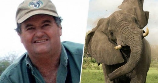 un miembro del club murierá aplastado por un elefante