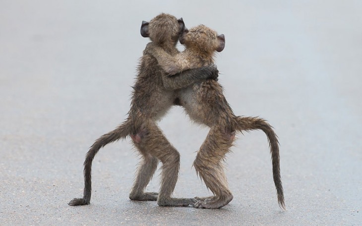 Fotografía 'último tango' por el fotógrafo Por tony Dilger