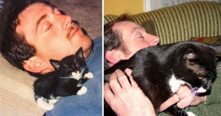 Fotografía del antes y después de un hombre con un gato dormido en su hombro 