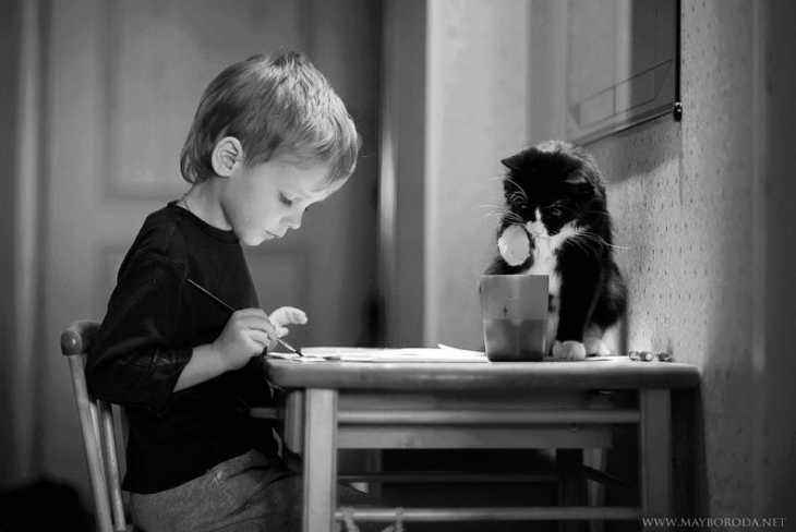 niño pintando en una mesa junto a su gato 