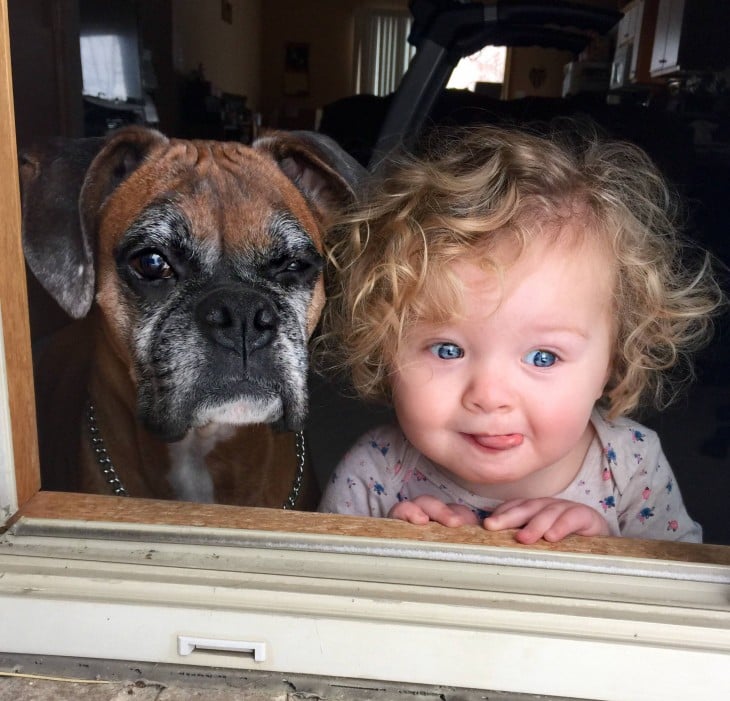 niña junto a su perro asomándose por la ventana 