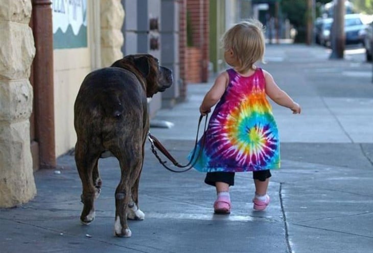 pequeña niña paseando a su perro por una calle 
