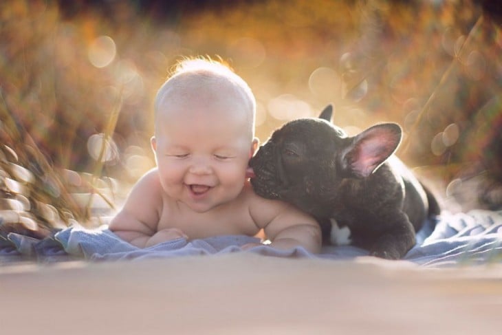 bulldog francés lamiendo el cachete de un bebe acostado al aire libre 