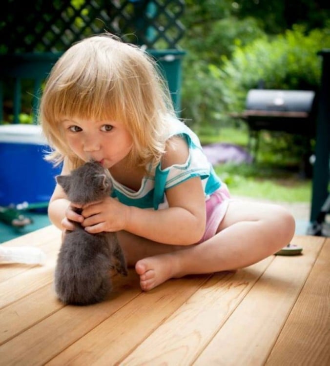 niña dando un beso a su gato gris sentada en el suelo 