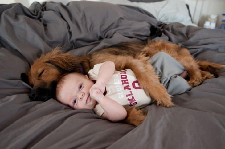 perro dormido abrazado de un bebé sobre una cama 